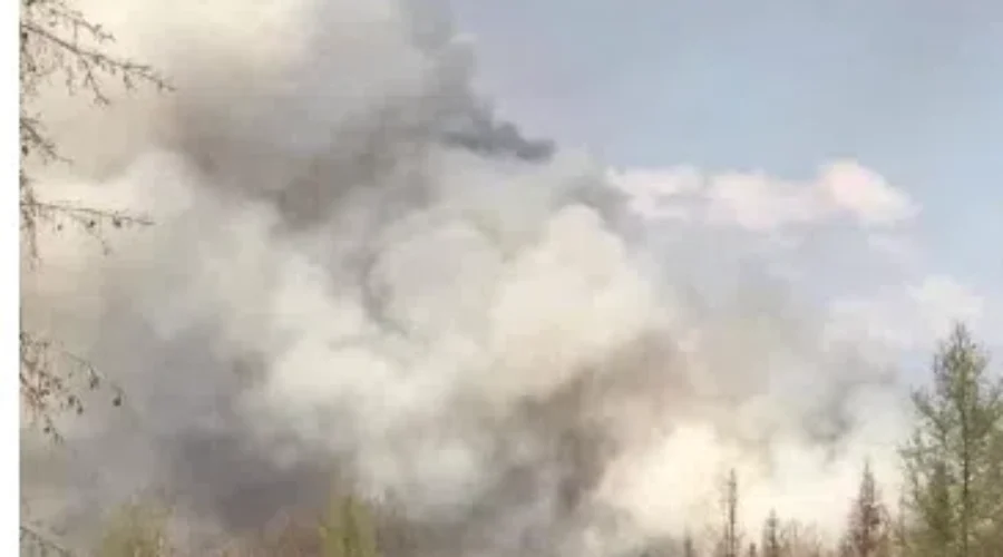 Big Spike In Forest Fire Numbers