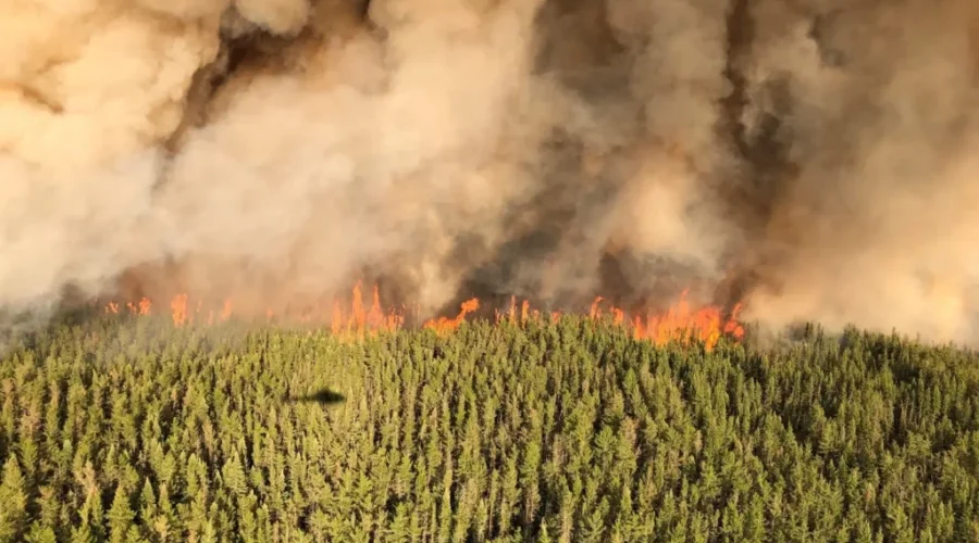 photo-courtesy-of-ontario-forest-fires-twitter-1 Crews Busy With 19 New Fires In Red Lake District