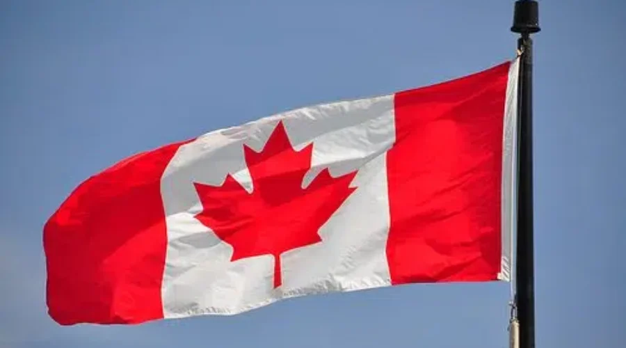 Day 11 Of The Federal Election Campaign