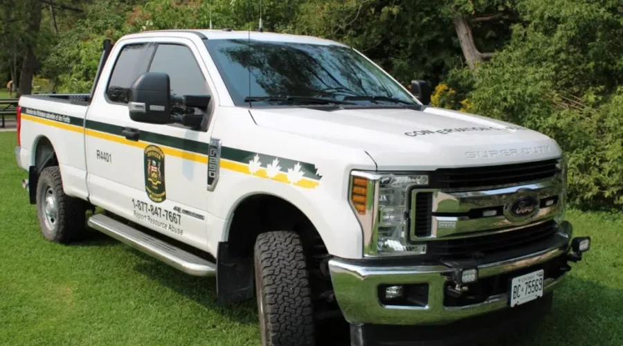 Hefty Fines For Two Southern Ontario Hunters