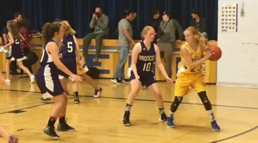 Dryden Eagles Looking For Basketball Coach