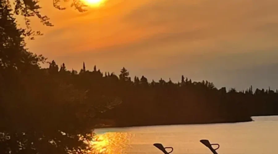 An Evening At Ojibway Park