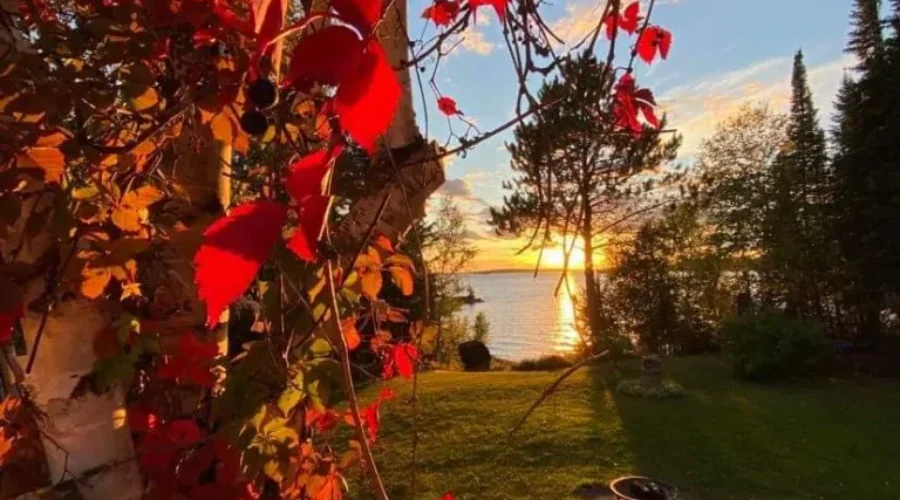 autumn-sunset-the-view-from-eliza-clarks-backyard-on-bonny-bay-road-1 Autumn Sunset