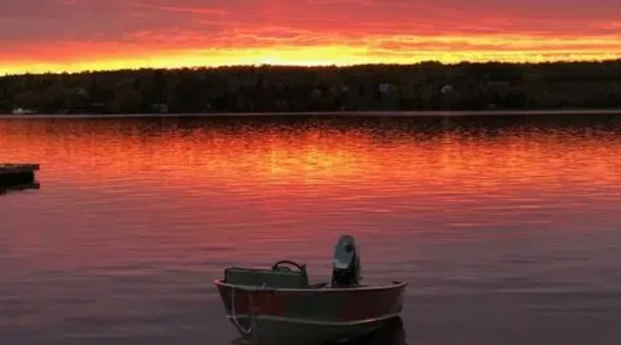 frost Environment Canada: No Frost So Far This Fall