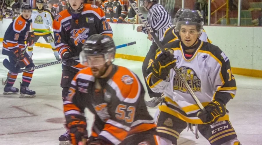 img-1664-edit-1038x576-1-1 Miners Sweep Fighting Walleye