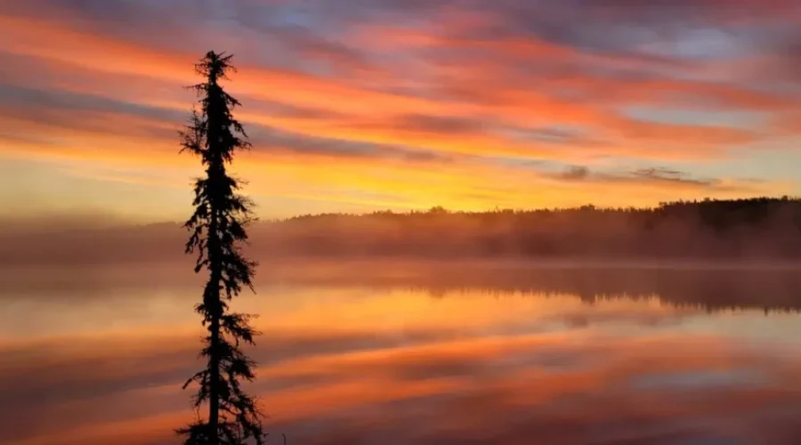 Sunrise At Murfitt Lake