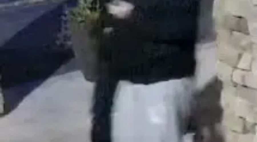 two-males-mischief Police Investigating Mischief At Sioux Lookout Hotel