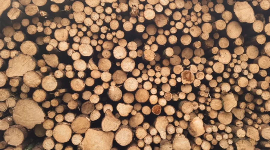 U.S. Increases Duties On Canadian Softwood Lumber