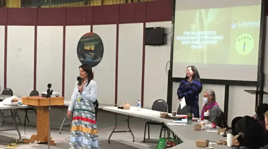 Lakehead And Kenora Group Looking At Traditional Medicine