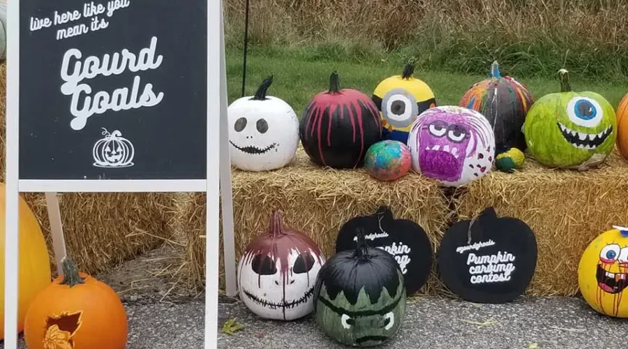 fallfest-2 Dryden Fall Fest A Smashing Success!