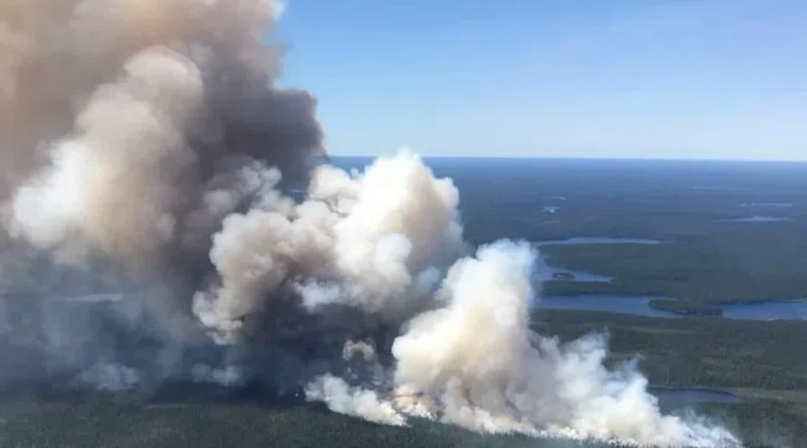 Record Breaking Forest Fire Season