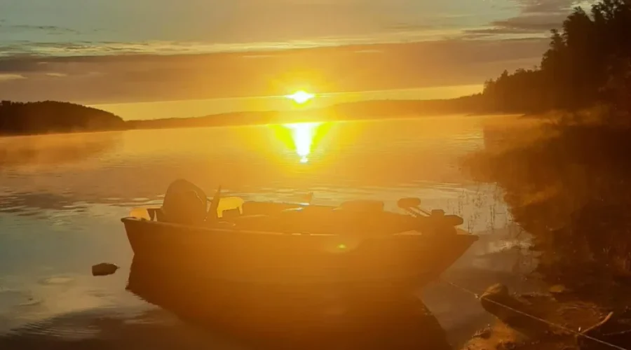 A Brighter Warmer Day From Fall 2021