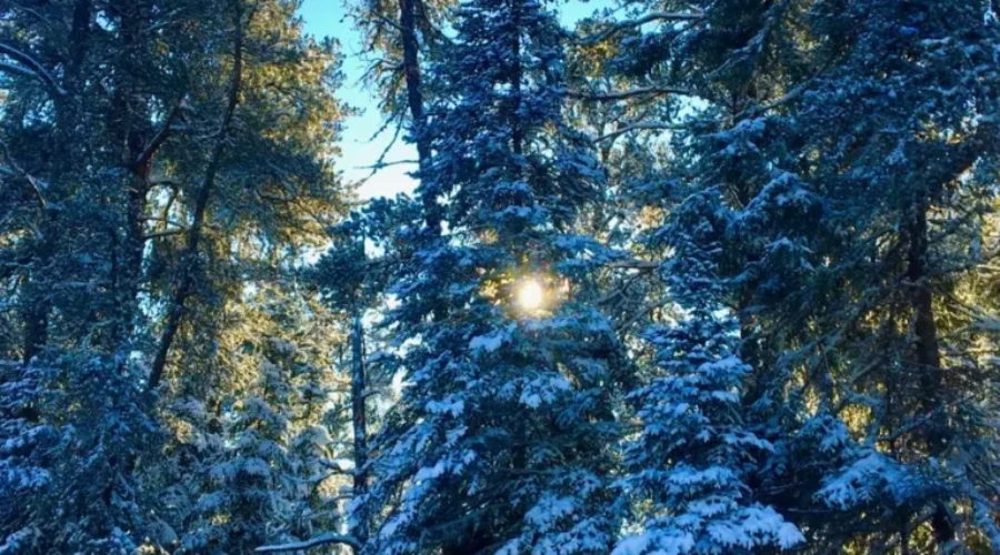 Beautiful But Cold
