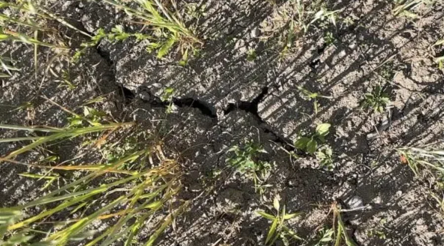 The Drought: A Top Weather Story Of 2021
