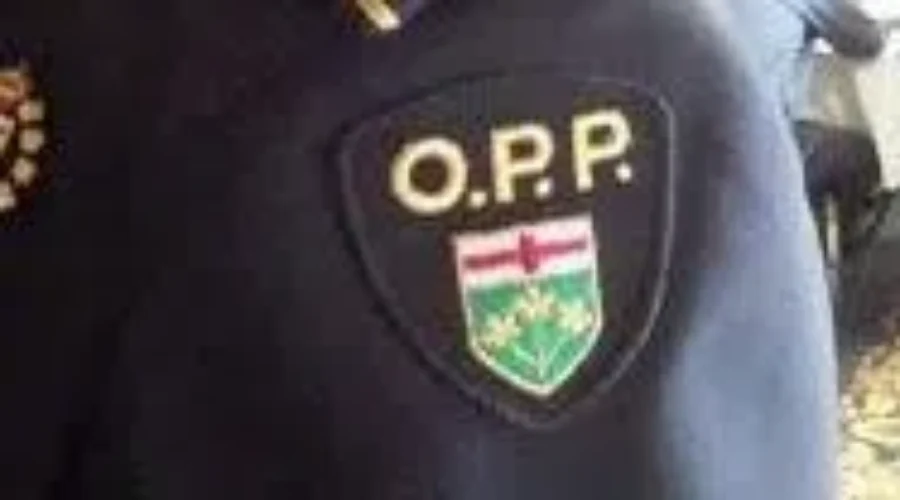 Firearm Trafficking Investigation Leads To Arrest