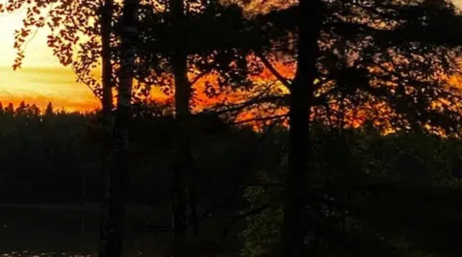 2021 Summer Sunset