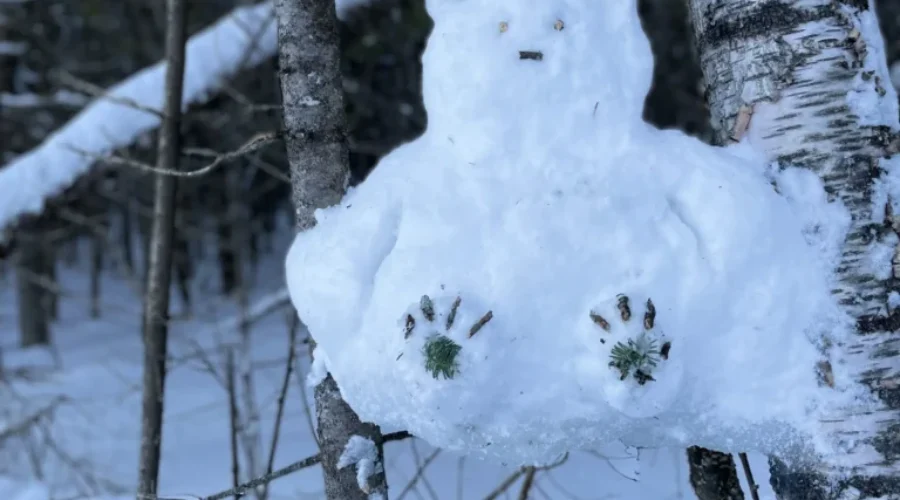We Can ‘Bear’ly Stop Smiling