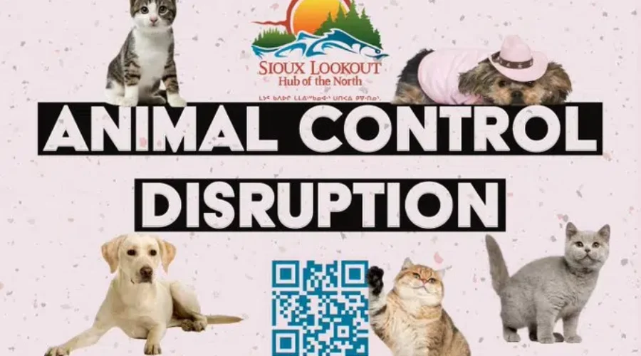 Animal Control Restructuring In Sioux Lookout