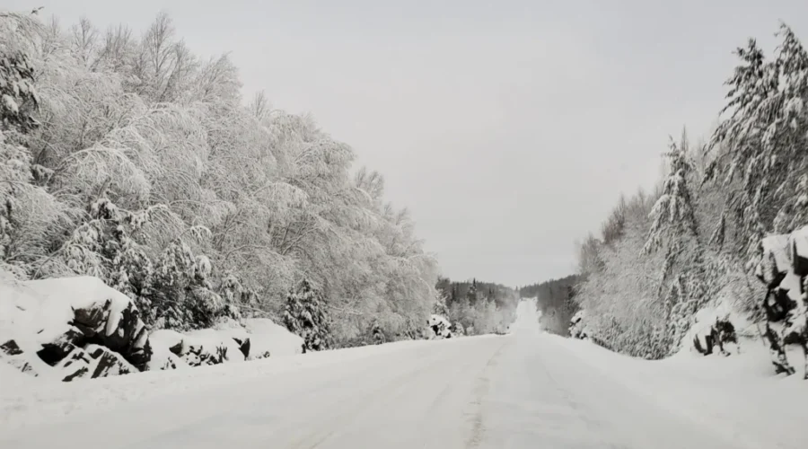 Winter Wonderland
