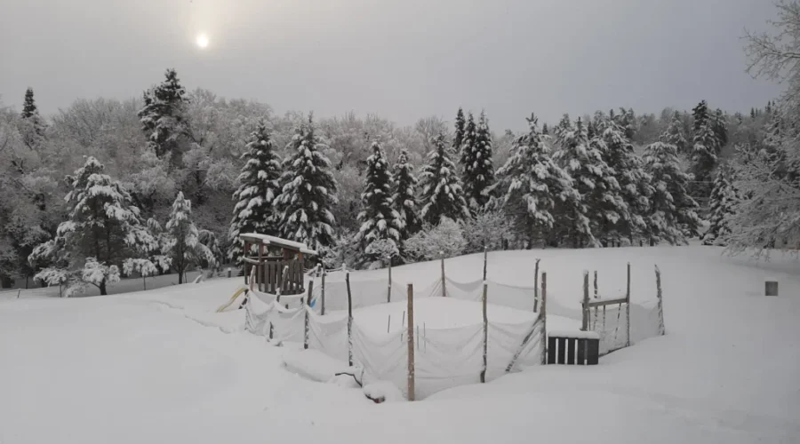 A Winter Wonderland In Sunset Country