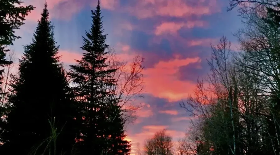Night Sky In Eagle River