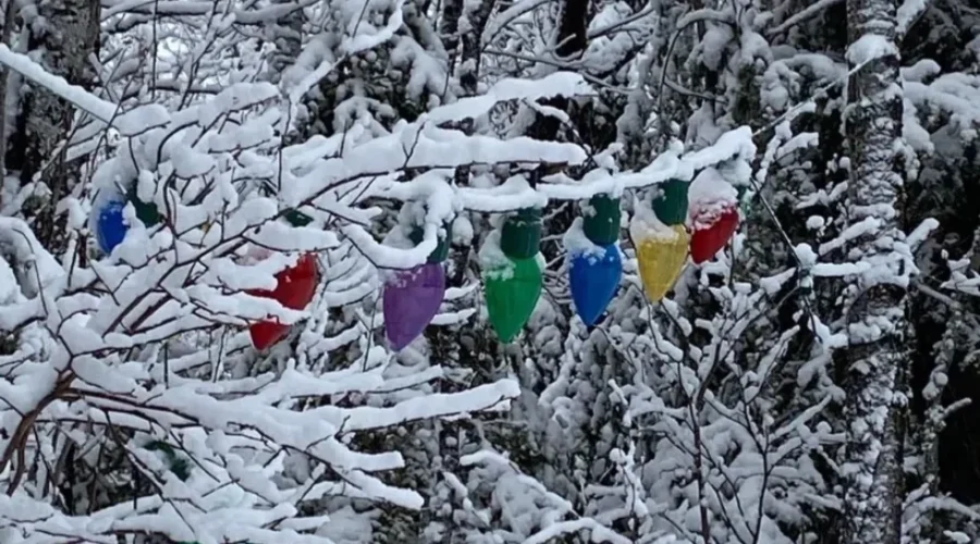 Looking A Lot Like Christmas – Again?