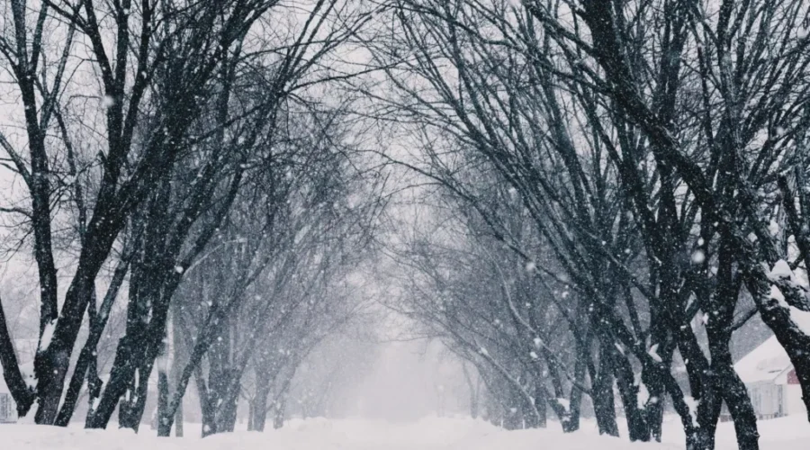 wilson-street-in-dryden-the-afternoon-of-march-9th-photo-by-lem-failma-scaled-2 Dryden