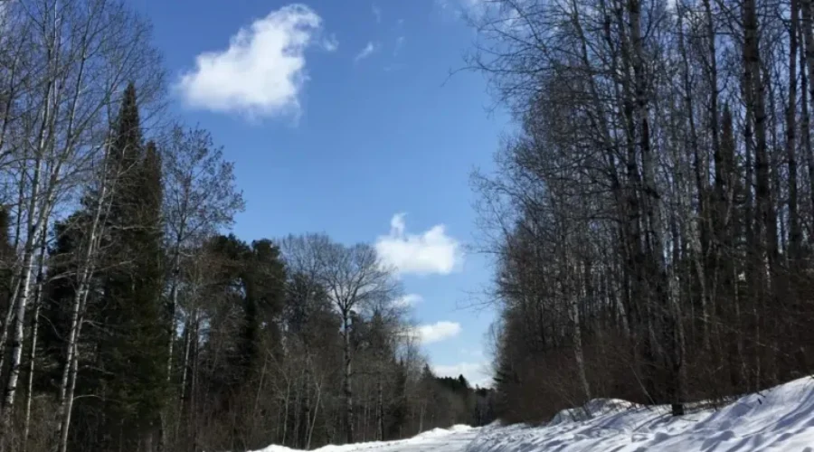 A Lot Of Snow Still To Go