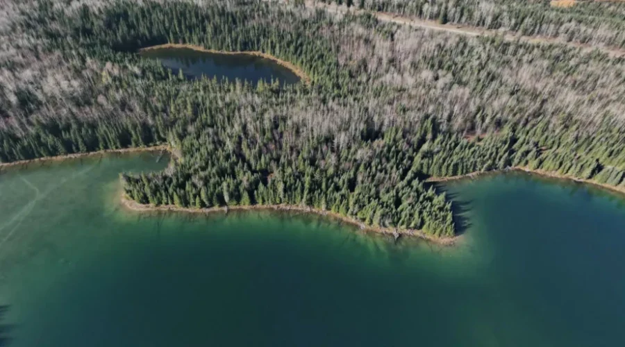 Canada’s Largest Conservation Effort In History