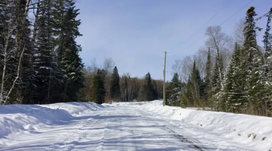 The Winter That Never Ends