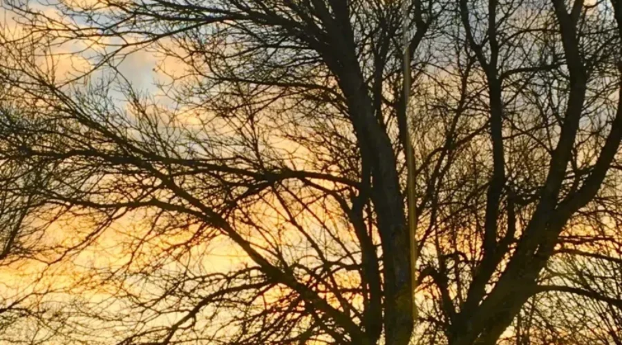 an-april-sunset-viewed-from-eagle-drive-in-dryden-photo-submitted-by-connie-calvert-1 Dryden