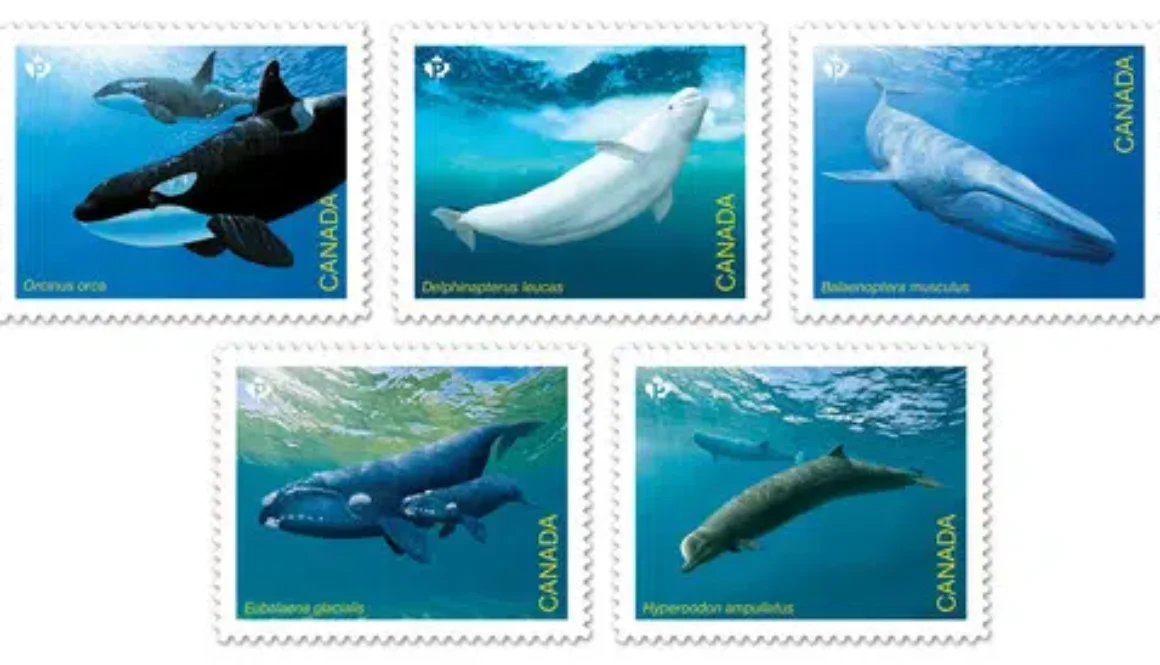 canada-post-new-stamps-bring-attention-to-canada-s-endangered-wh