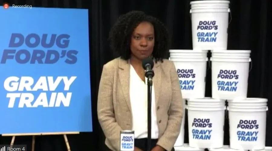 mitzie-hunter Liberals Question Government Appointments