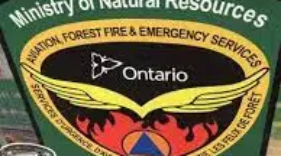 First Forest Fire Of Season Reported
