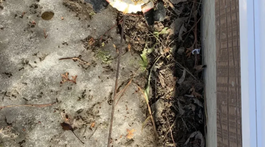 Man Down! Man Down!!