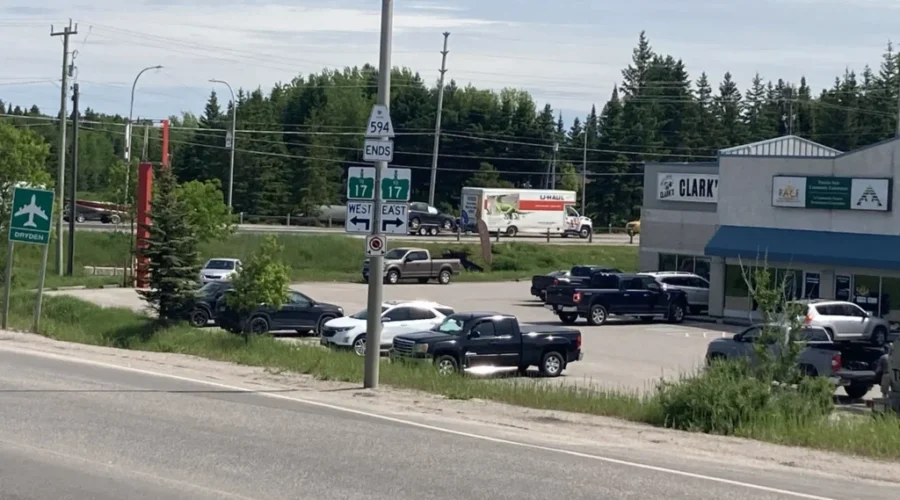 0e5bf52e-34cf-44f1-8a7f-a47fc23aa606-scaled-2 Dryden Overpass Market Opens Today