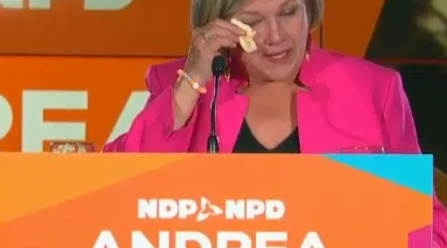 Liberal And NDP Leaders Stepping Down