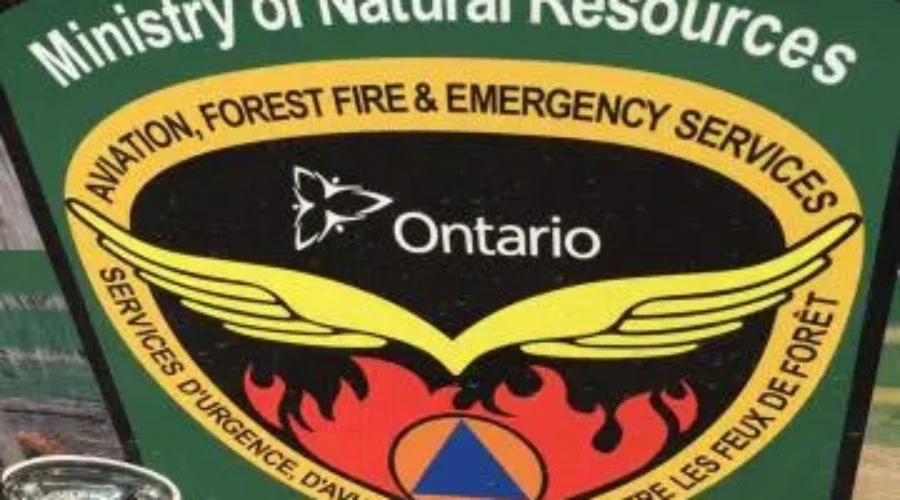 30 New Forest Fires Over Weekend