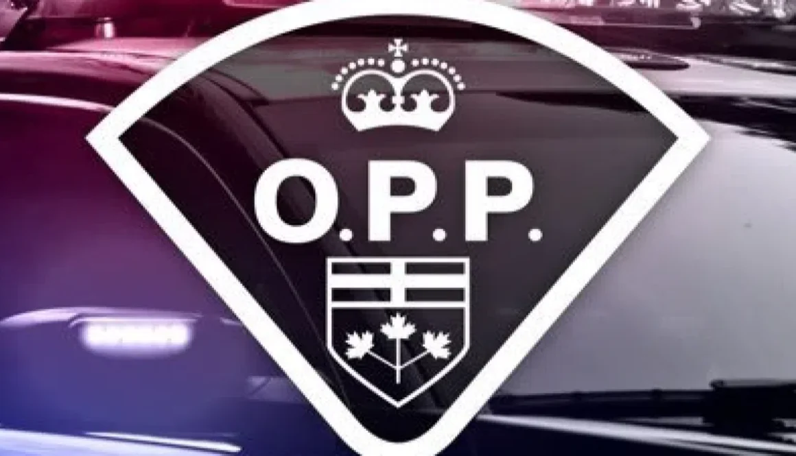 oppimage2020-800x450-5-1