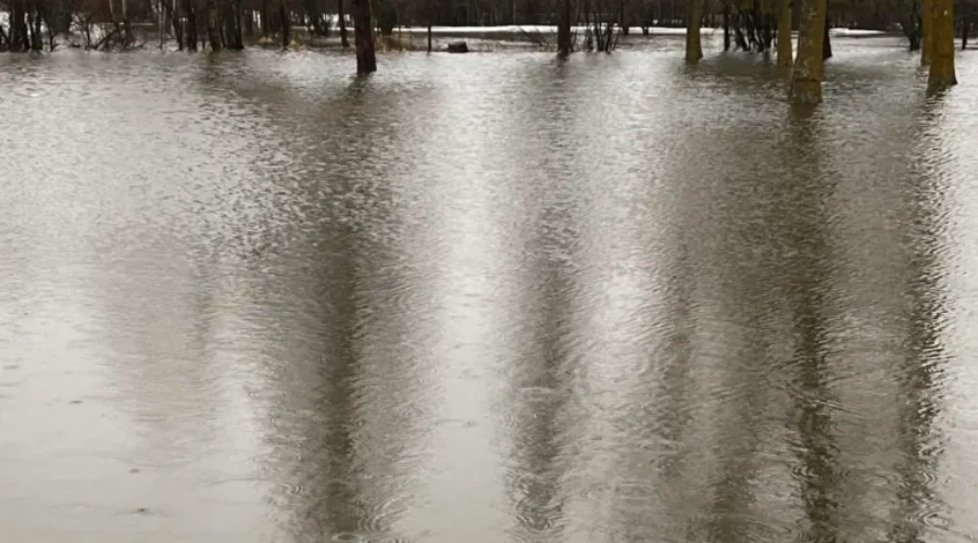 point-park-flooding-4-scaled-1-1 Health Unit Out With Warning Due To Flooding