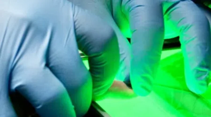 recordcheck Criminal Record Checks Now Available Online