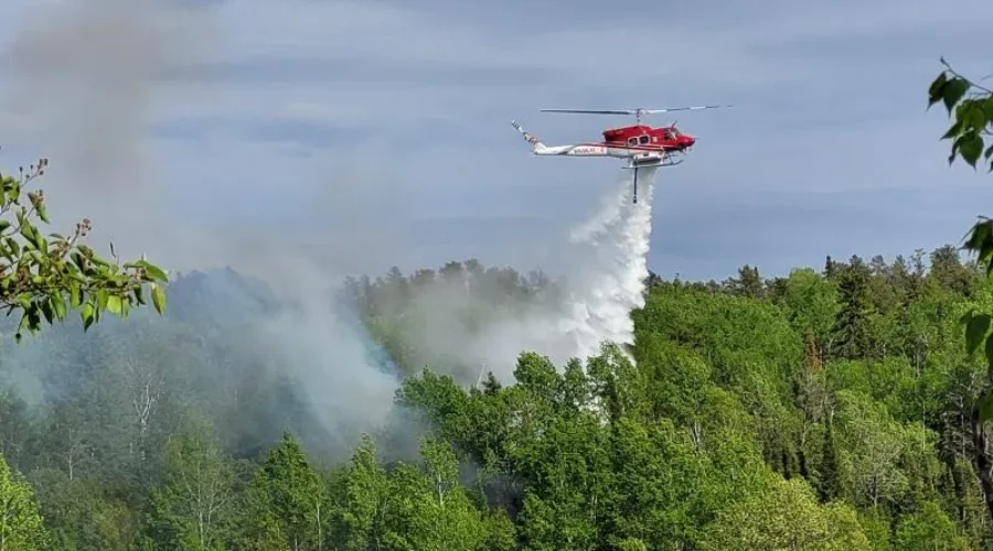 redditt-forest-fire-800x450-1-1 One New Forest Fire In Region