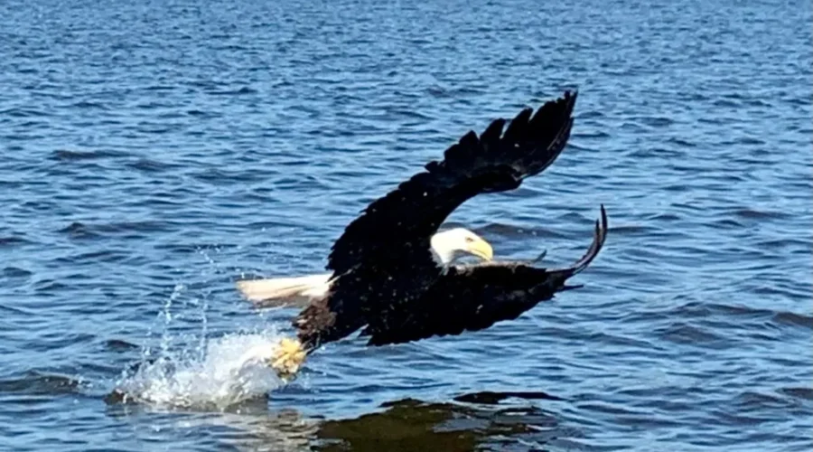 Eagle Lake