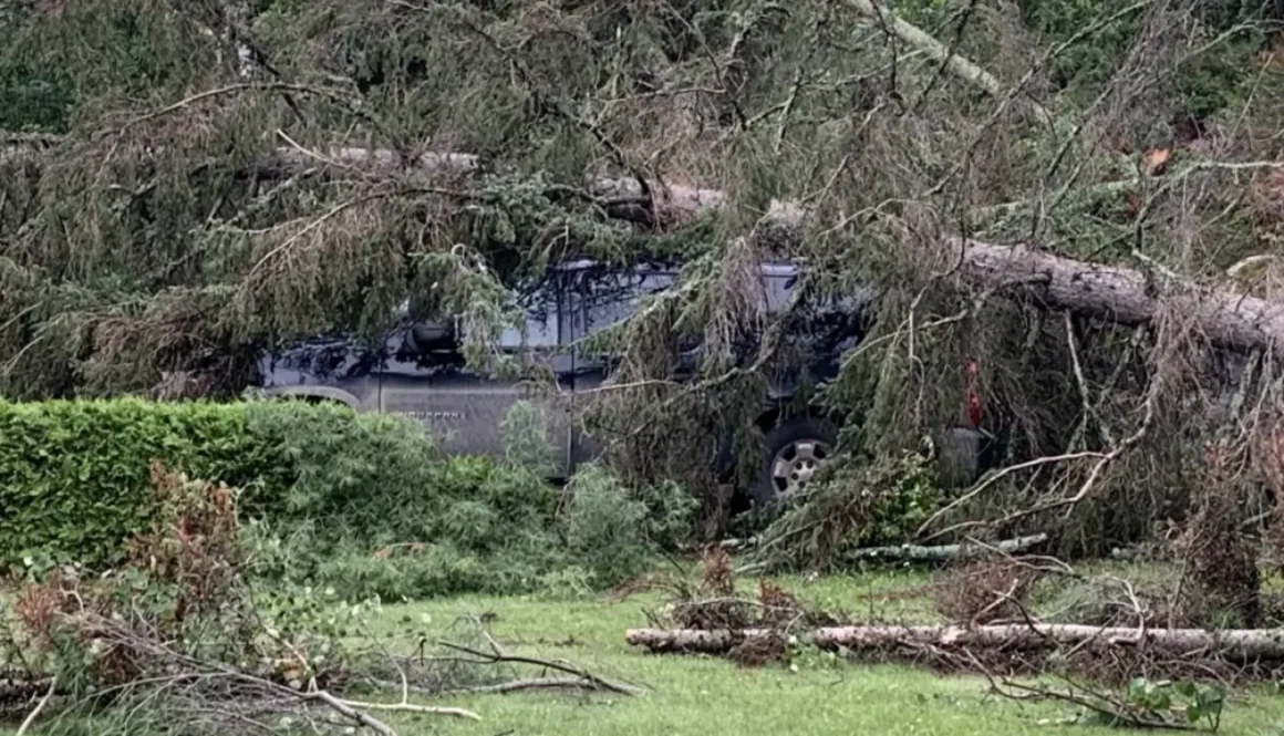 nestor-falls-storm-1-july-2022