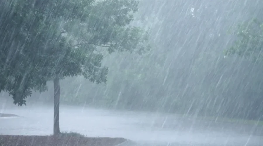 Rain – A Lot Of Rain
