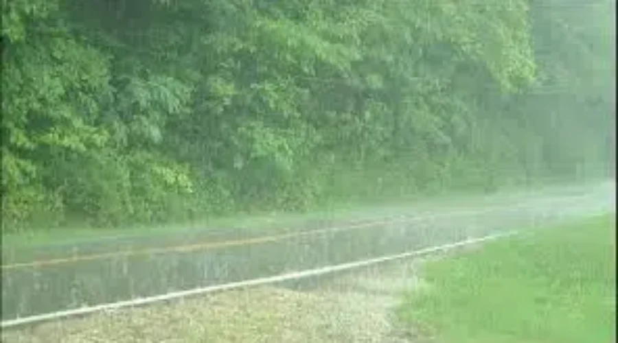 rainy-weather Torrential Rainfall Hits The Region