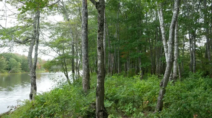 sunset-valley-nature-reserve Protecting 25% Of Federal Land By 2025 Not On Pace: NCC