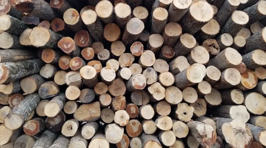 Higher Softwood Lumber Tariffs Don’t Make Sense: Expert