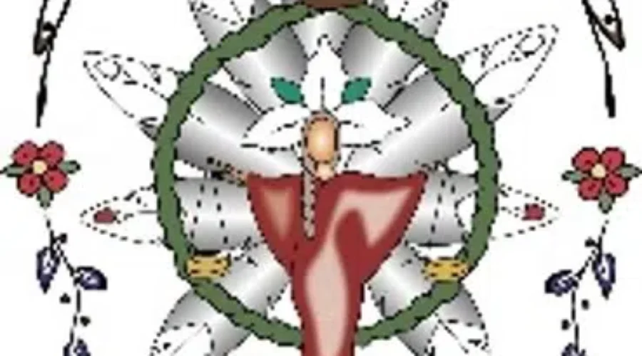 Local Indigenous Youth Look At Public Safety Careers