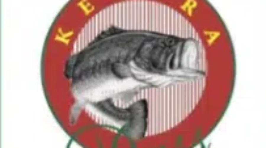 Gibbins Team Lead KBI